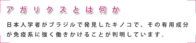 アガリクスとは何か　その有用成分が免疫系に強く働きかけることが判明しています